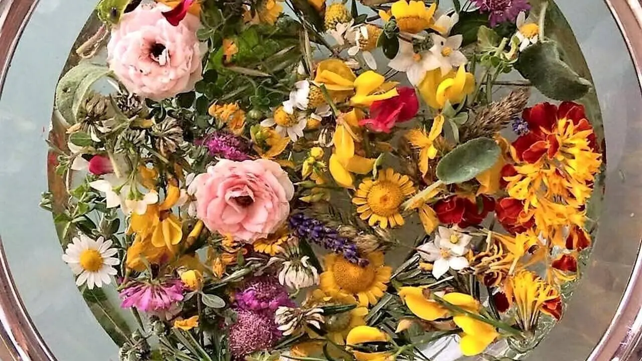 Fiori di San Giovanni: un'antica tradizione piena di significato - Che fiori ci vogliono per l'acqua di San Giovanni fiori di san giovanni - Che fiori ci vogliono per l'acqua di San Giovanni