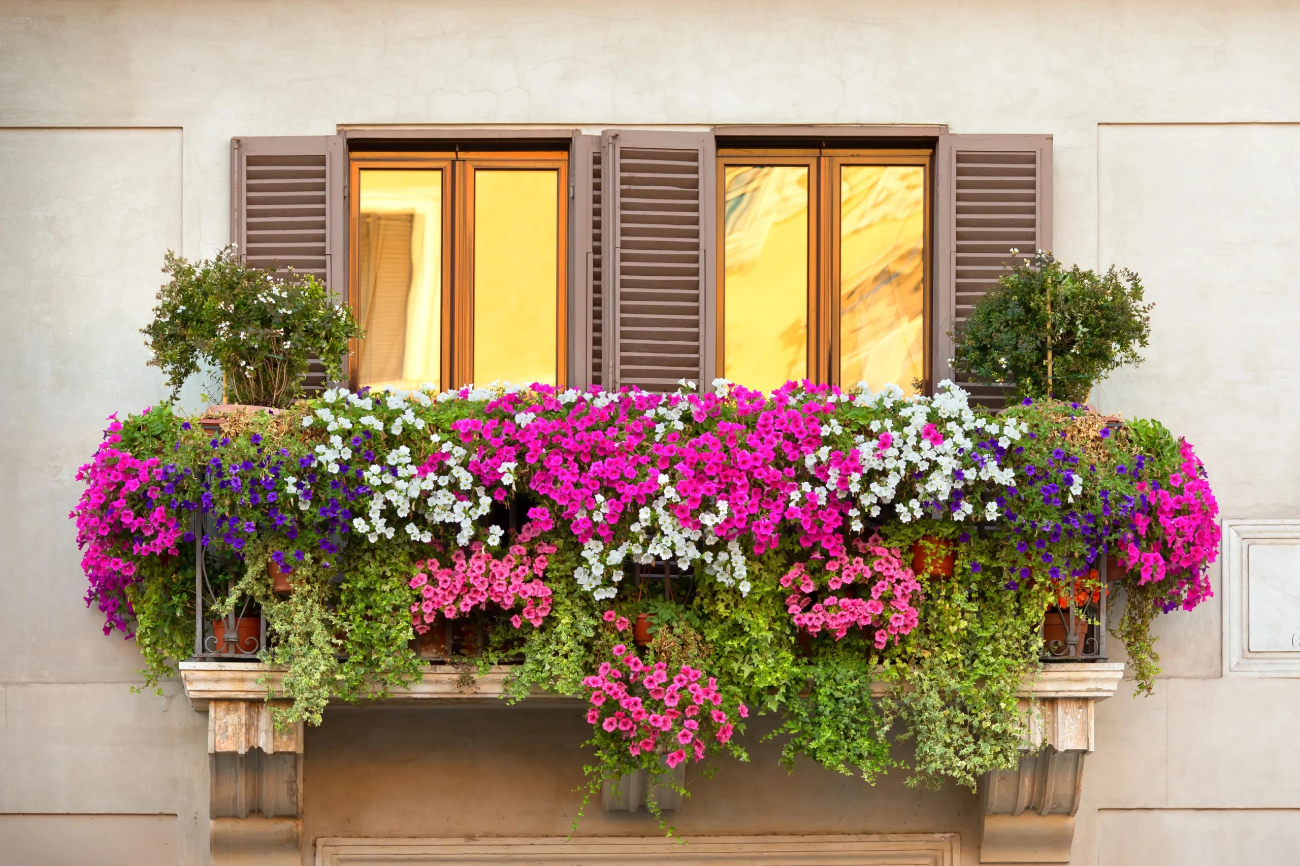 fiori da balcone estivi - Che fiori mettere sul balcone in estate