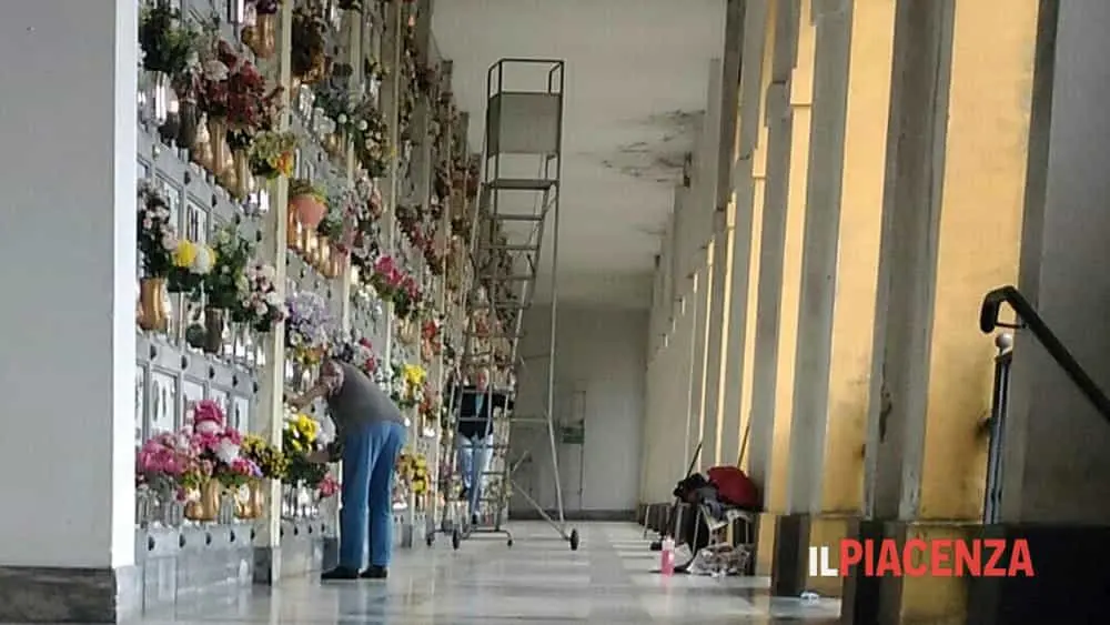 Cosa ci insegnano i fiori - Chi cerca di possedere un fiore frasi sui fiori - Chi cerca di possedere un fiore
