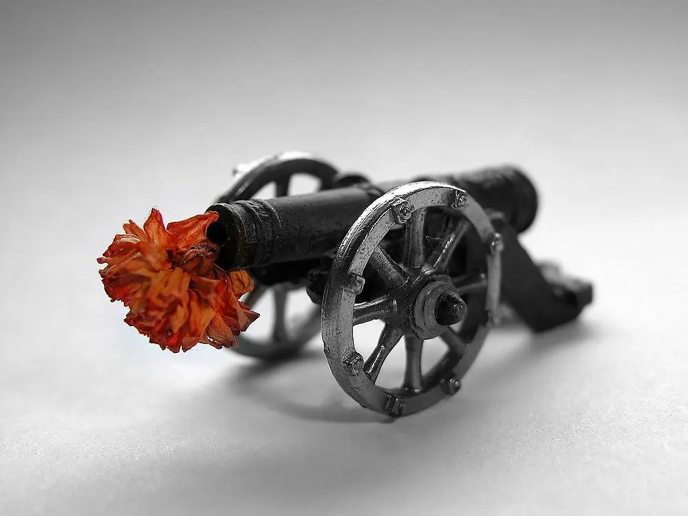 mettete dei fiori nei vostri cannoni - Chi ha detto mettete dei fiori nei vostri cannoni