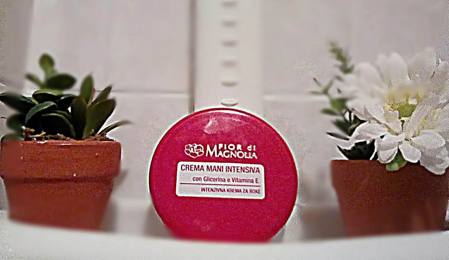 Fior di Magnolia: una linea di cosmetici di alta qualità - Chi produce i prodotti Fior di Magnolia Eurospin fior di magnolia - Chi produce i prodotti Fior di Magnolia Eurospin