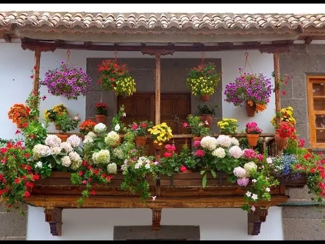 balconi fioriti - Come avere balconi fioriti tutto l'anno