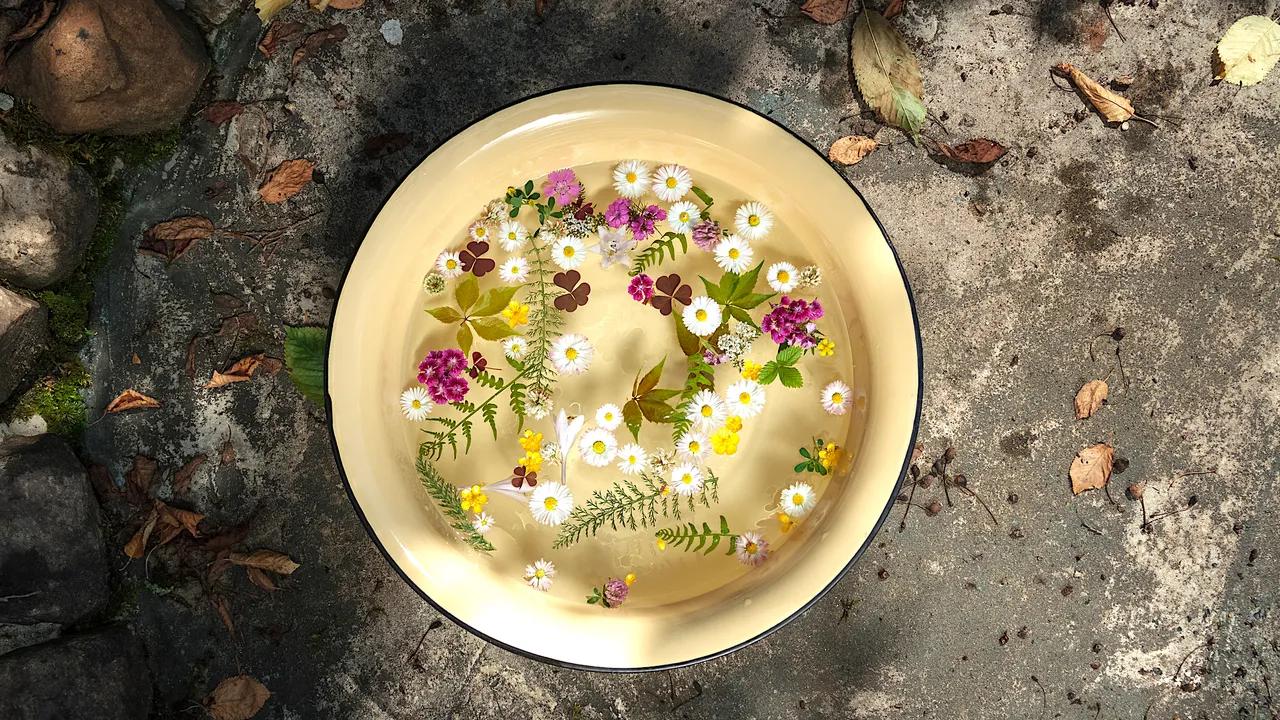 Acqua di Fiori d'Arancia: Un tesoro profumato - Come fare l'acqua di fiori acqua di fiori d'arancia - Come fare l'acqua di fiori