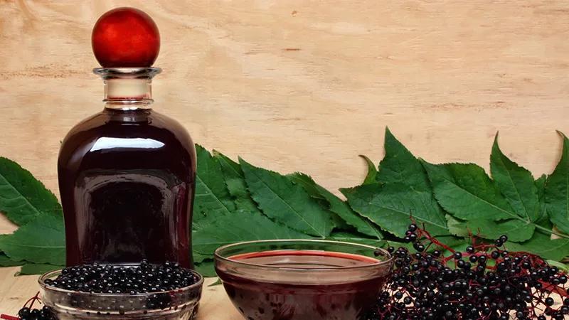fiori di sambuco - Come riconoscere il vero sambuco