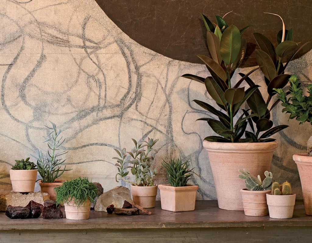 Vaso Per Fiori Standard Con Sottovaso – In Plastica PP, Vari Colori (Terracotta, Marrone, Bianco), Con Fori Di Drenaggio, Varie Misure