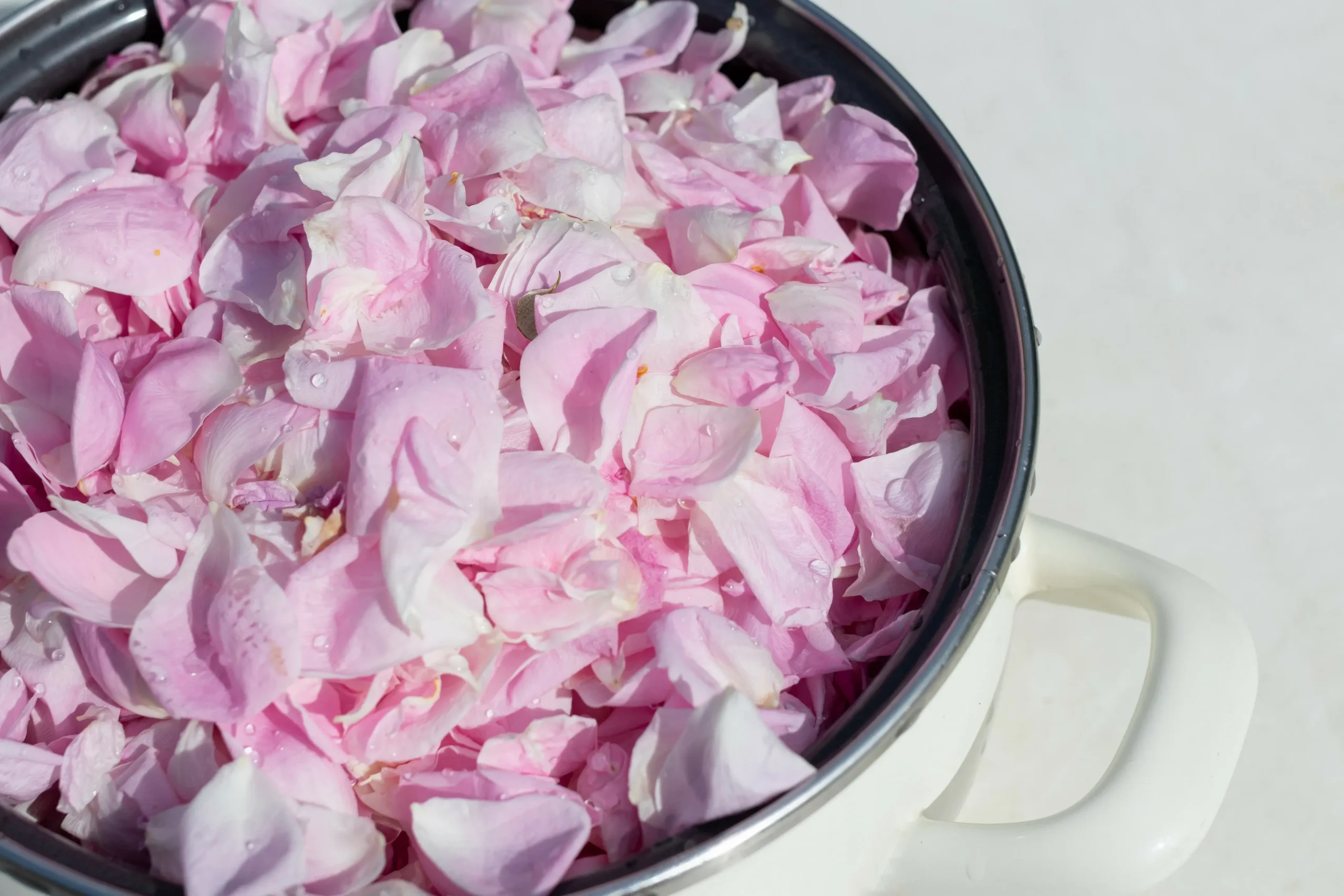 Come essiccare i fiori: tecniche e consigli utili - Come seccare i petali dei fiori come essiccare i fiori - Come seccare i petali dei fiori