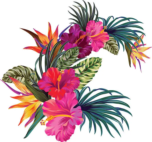 Fiori tropicali: un tocco di esotismo per il tuo giardino - Come si curano le piante tropicali fiori tropicali - Come si curano le piante tropicali