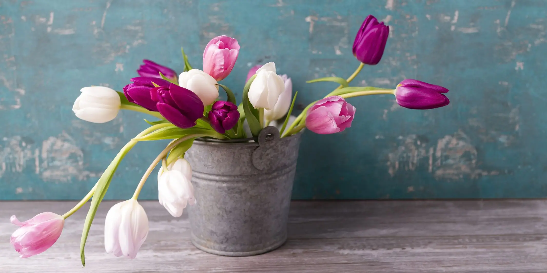 fiori primaverili immagini - Cosa annuncia l'arrivo della primavera