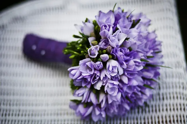 Fiori con la V: Scopri le meraviglie floreali che iniziano con la lettera V - Cosa con la lettera V fiori con la v - Cosa con la lettera V