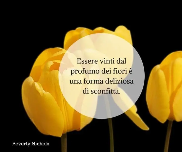 frasi sui fiori e la vita - Cosa insegna la vita frasi