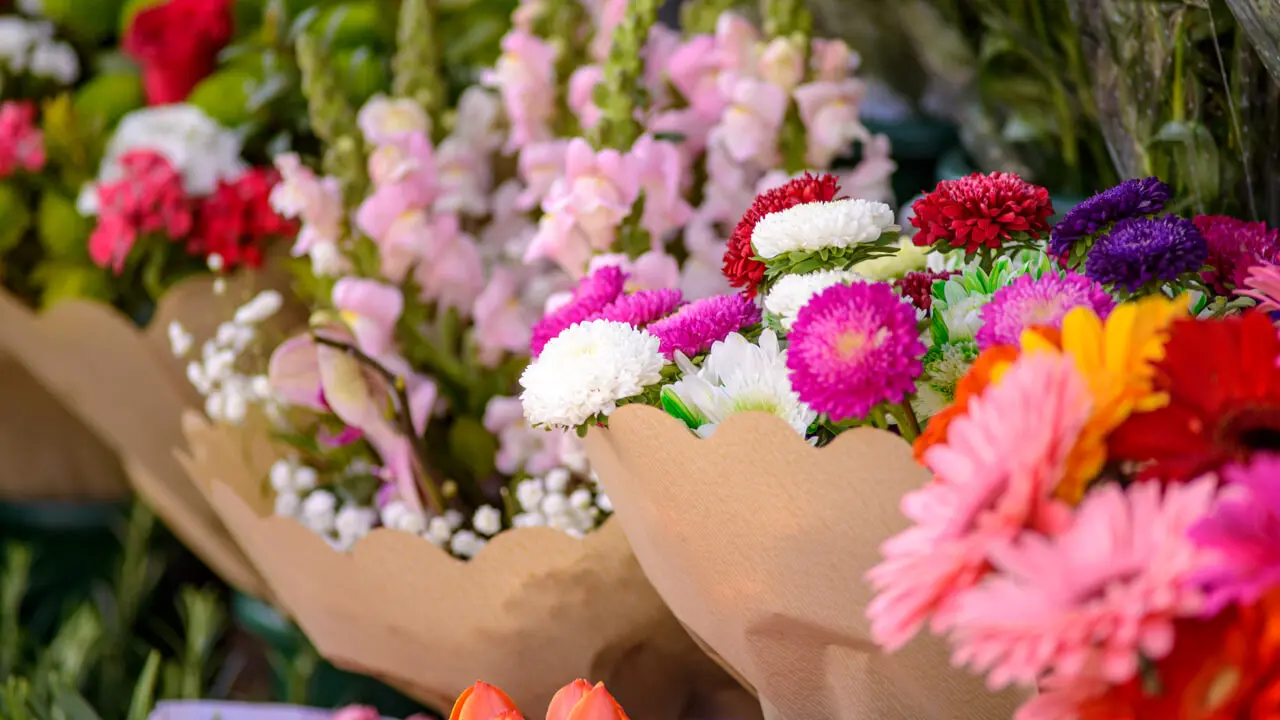 Fiori Blu: Il Significato, le Varie Specie e la Loro Coltivazione - Cosa rappresentano i fiori blu fiori blu - Cosa rappresentano i fiori blu