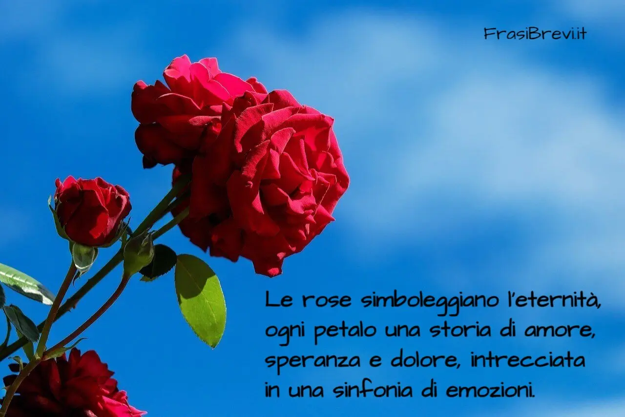 frasi belle fiore frasi sulle rose - Cosa scrivere sulle rose