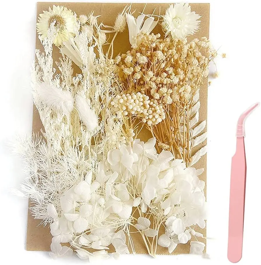 Fiori secchi decorativi: un tocco di bellezza che dura nel tempo - Cosa si può fare con i fiori secchi fiori secchi decorativi - Cosa si può fare con i fiori secchi