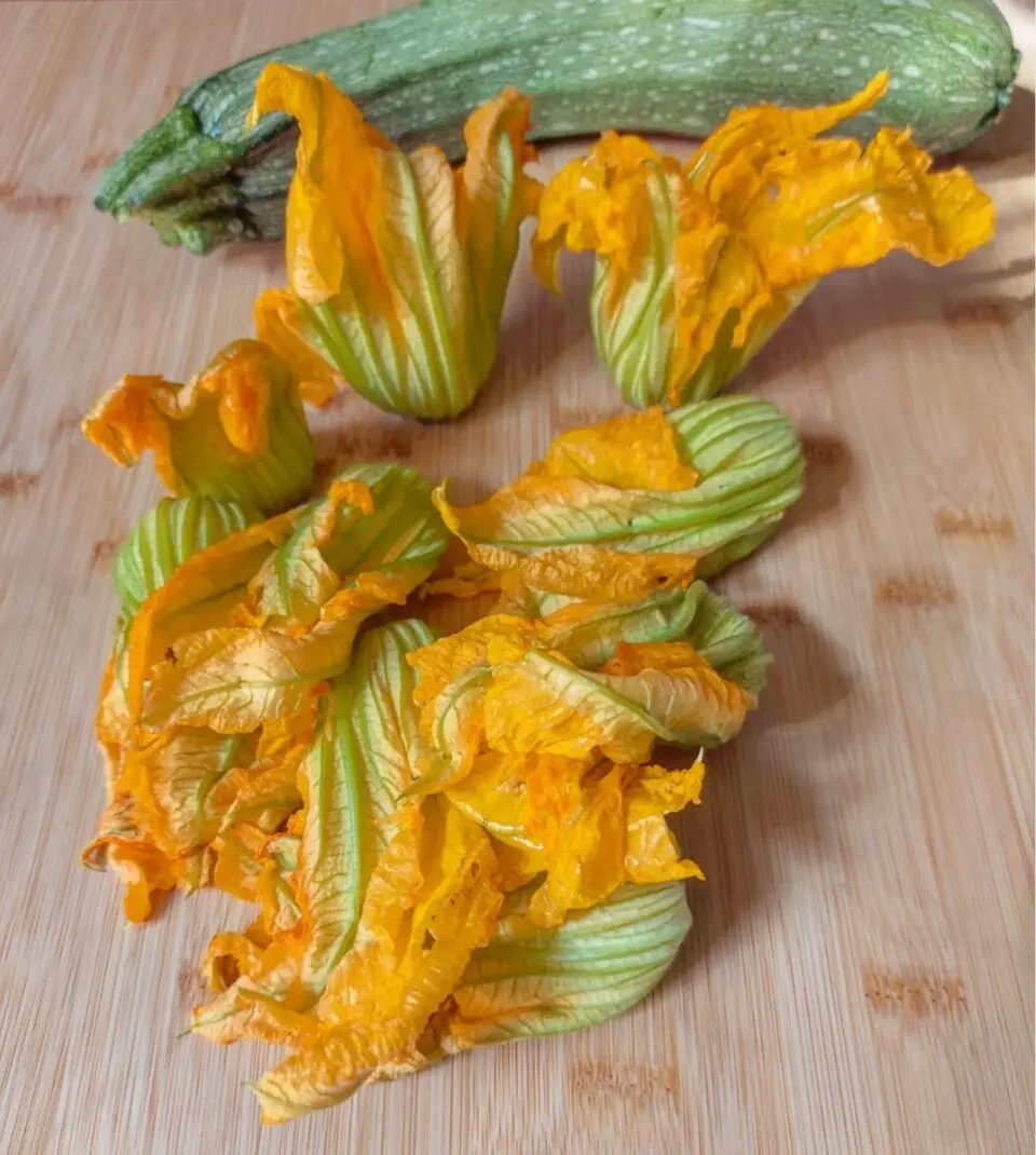 Come pulire i fiori di zucca - Cosa togliere dal fiore di zucca come pulire i fiori di zucca - Cosa togliere dal fiore di zucca