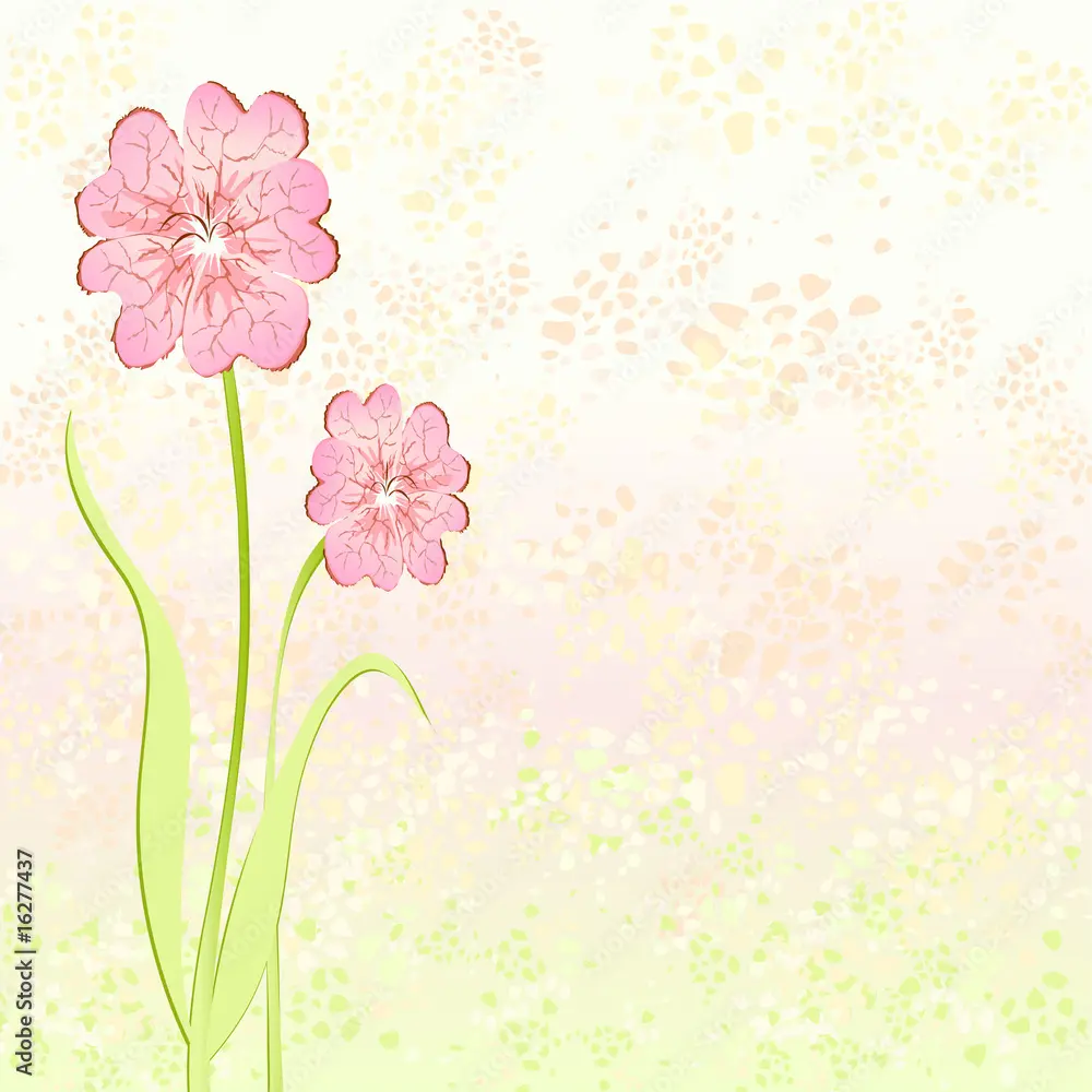 sfondo fiori rosa - Cosa vuol dire regalare rose rosa