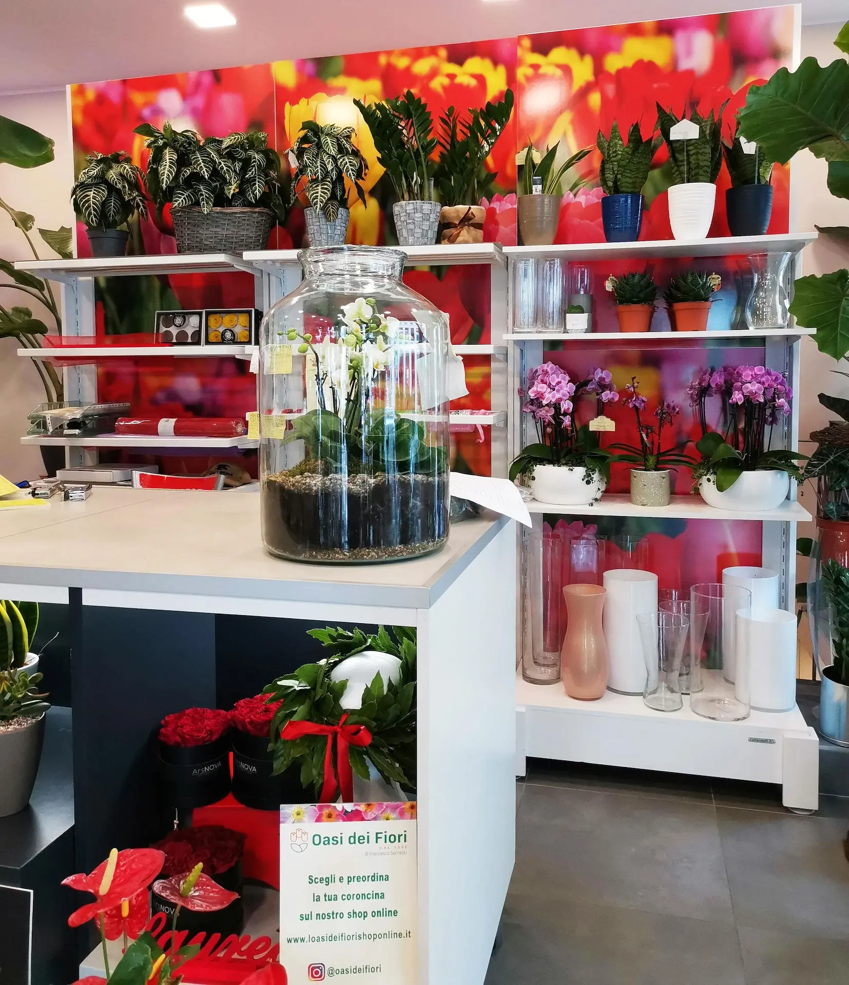 L'Oasi dei Fiori: la migliore scelta per coroncine di alloro a Milano - Dove comprare corona d'alloro Milano l oasi dei fiori - Dove comprare corona d'alloro Milano