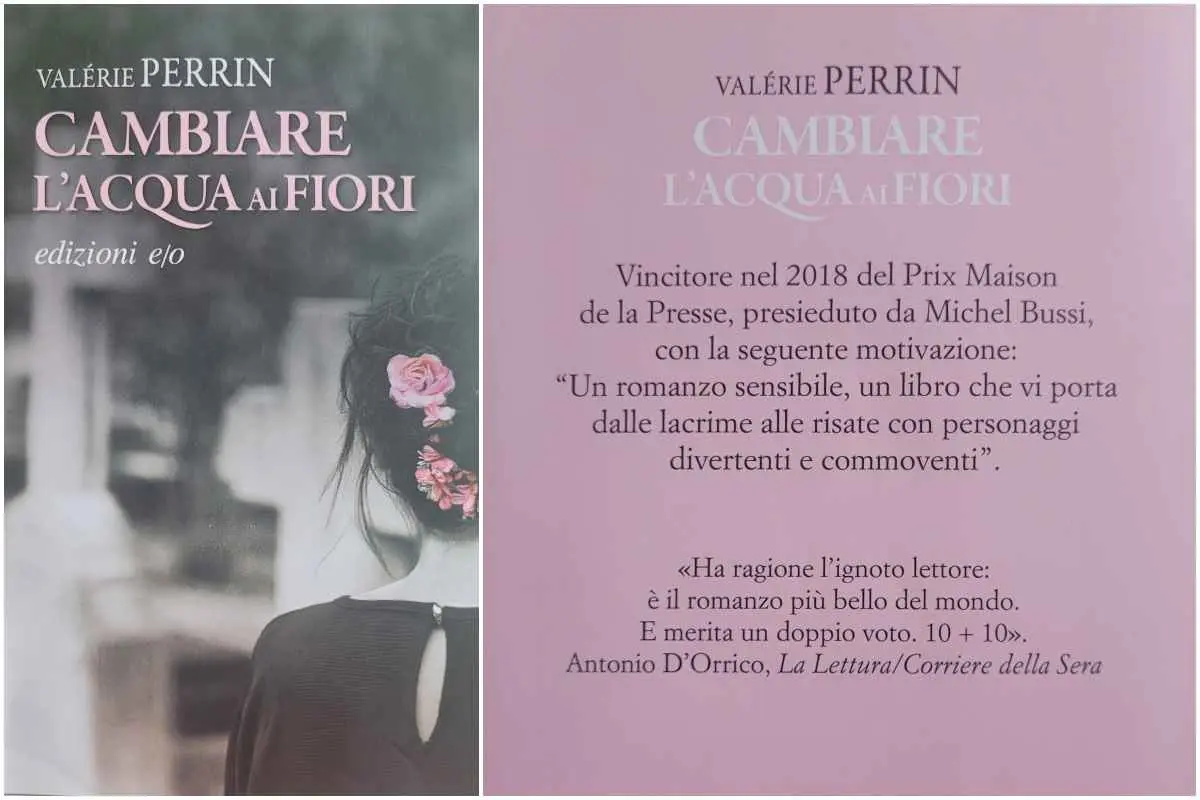 Cambiare l'acqua ai fiori: Un romanzo che celebra la vita e la speranza - Dove è ambientato il libro cambiare l'acqua ai fiori cambiare l'acqua ai fiori trama libro - Dove è ambientato il libro cambiare l'acqua ai fiori