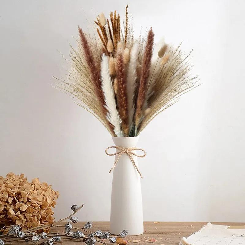 pampas fiori - Dove mettere le Pampas