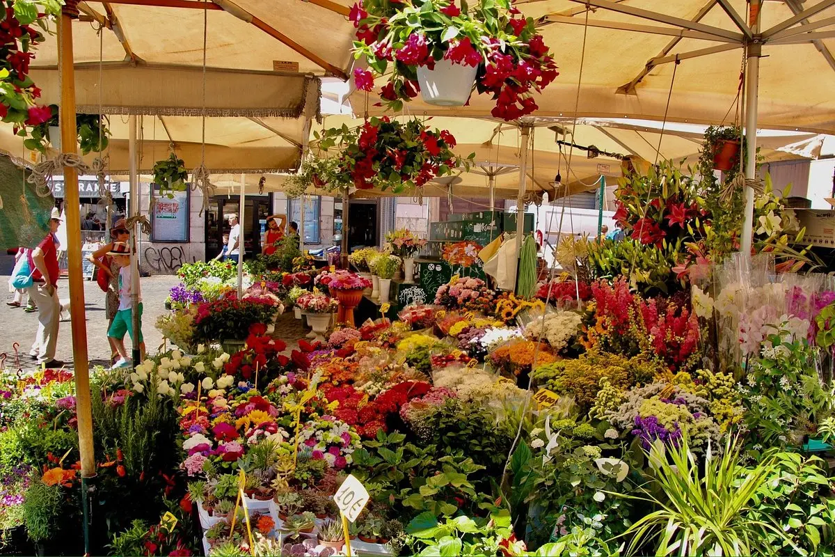 Fiori Roma: Come mandare un mazzo di fiori a Roma - Dove si mandano i fiori per un funerale fiori roma - Dove si mandano i fiori per un funerale
