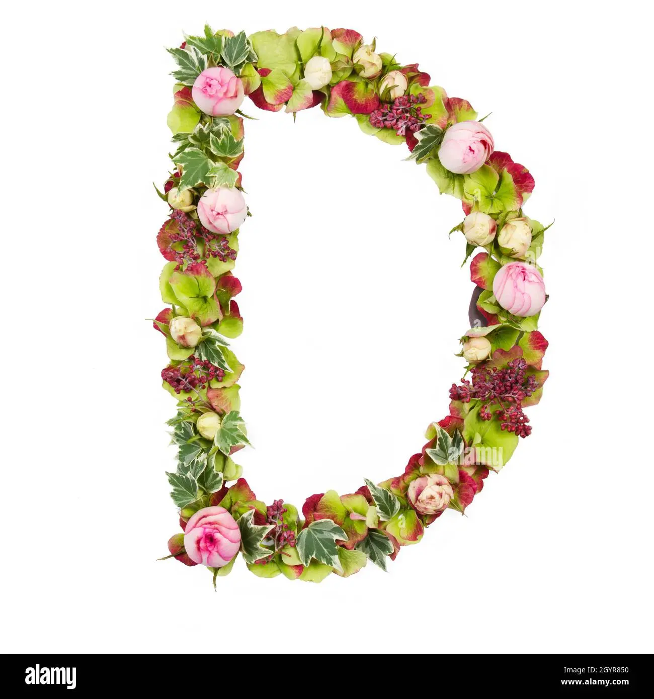 Fiori con la D: Una guida completa - Perché esistono i fiori fiori con la d - Perché esistono i fiori