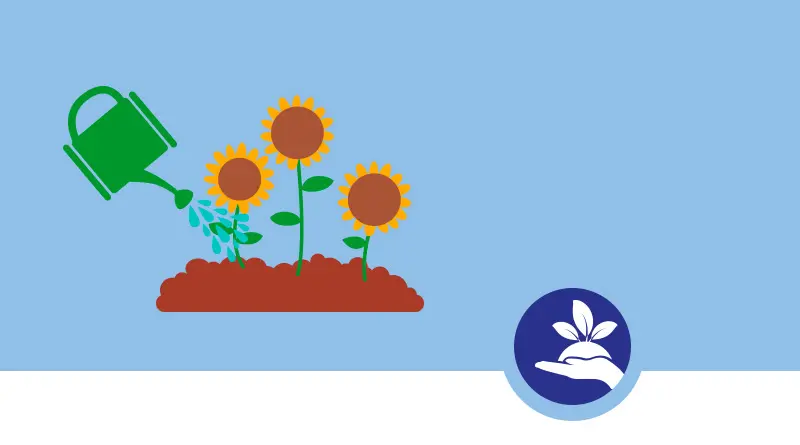 Fiori Primaverili: I Fiori Che Annunciano la Primavera - Quali sono i fiori che durano tutta l'estate fiori primaverili - Quali sono i fiori che durano tutta l'estate
