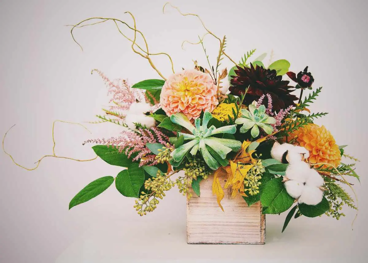 Fiori di stagione: scopri i fiori del mese di luglio - Quali sono i fiori del mese di luglio fiori di stagione - Quali sono i fiori del mese di luglio
