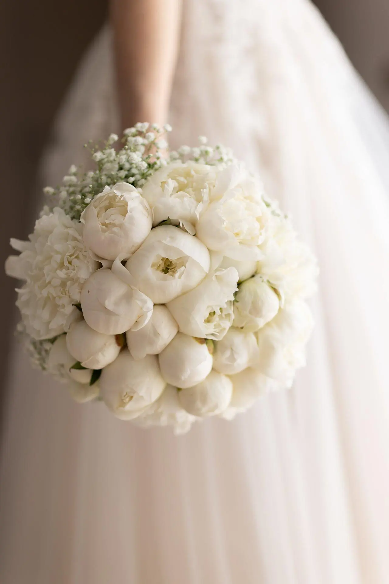 fiori matrimonio - Quali sono i fiori più costosi per un matrimonio