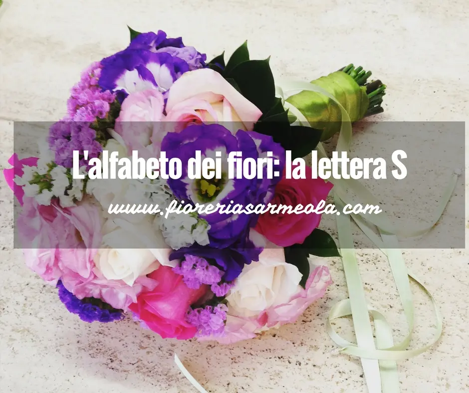 Fiori con la S: scopri le piante angiosperme - Quali sono le piante con i fiori fiori con la s - Quali sono le piante con i fiori