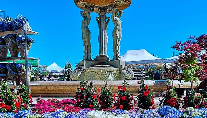 Cattolica in fiore: una festa dei fiori da non perdere - Quand è la Festa dei fiori a Cattolica cattolica in fiore - Quand è la Festa dei fiori a Cattolica