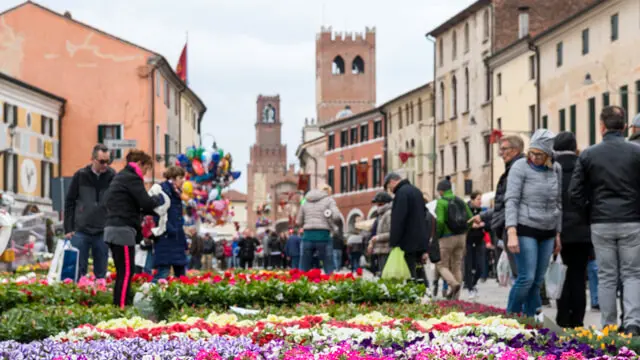 noale in fiore - Quando c'è la festa dei fiori a Noale