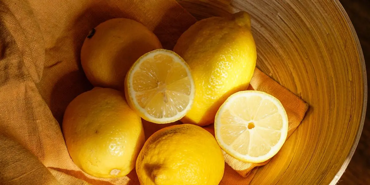 Trucchi per far fiorire i limoni - Quando fioriscono i limoni in vaso trucchi per far fiorire i limoni - Quando fioriscono i limoni in vaso