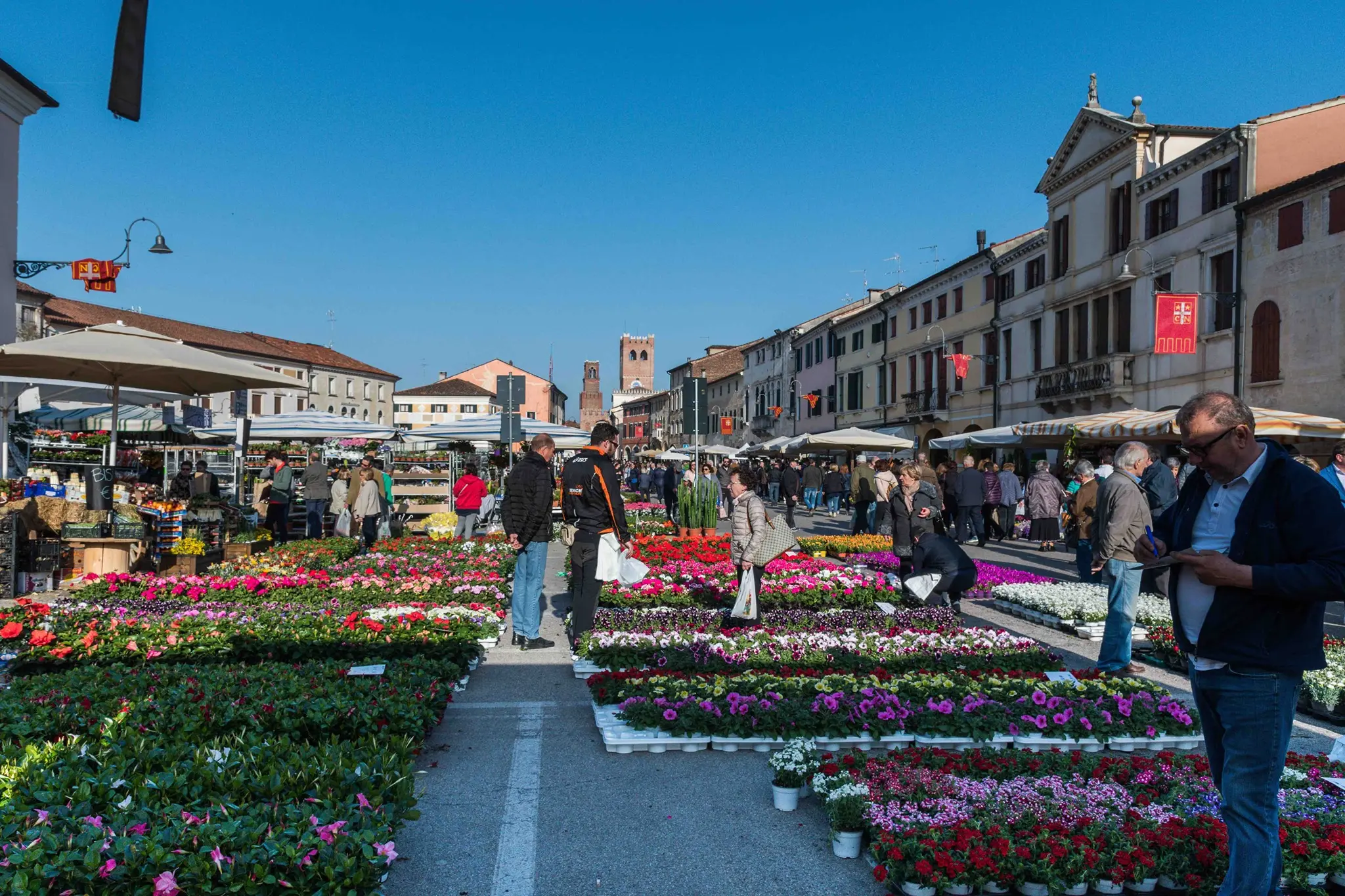 noale in fiore - Quando Noale in fiore 2023