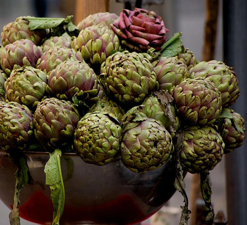 Fiori di Carciofi: Un'elegante sorpresa per ogni occasione - Quante volte si raccolgono i carciofi fiori carciofi - Quante volte si raccolgono i carciofi