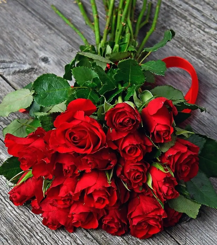 Fiori San Valentino: il linguaggio dei fiori per esprimere l'amore - Quanti fiori si regalano a San Valentino fiori san valentino - Quanti fiori si regalano a San Valentino