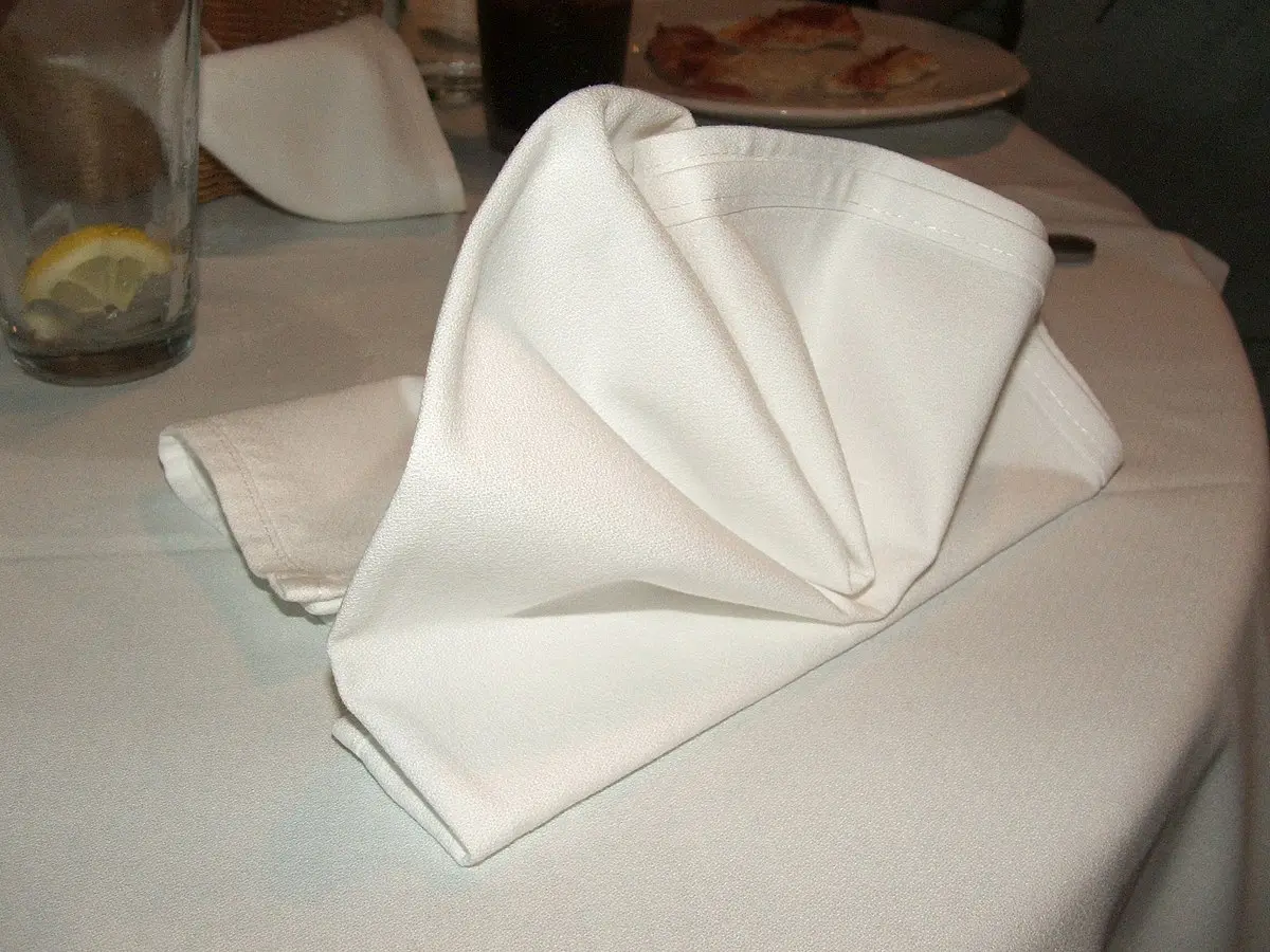 Come piegare i tovaglioli di carta a forma di fiore - Quanto deve essere grande un tovagliolo come piegare i tovaglioli di carta a forma di fiore - Quanto deve essere grande un tovagliolo