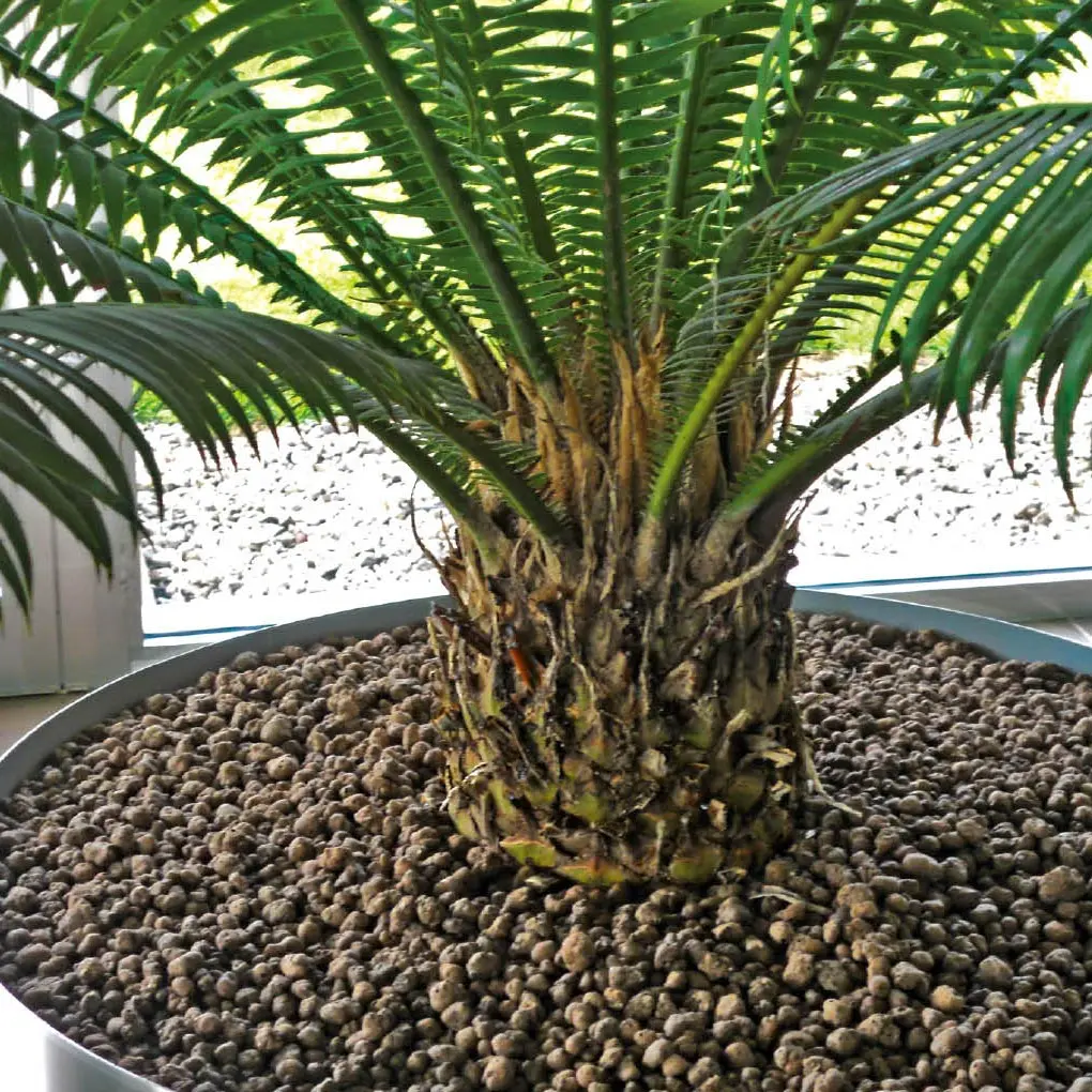 Fioriere in ferro arrugginito: un tocco rustico per il tuo giardino - A cosa serve argilla espansa nei vasi fioriere in ferro arrugginito - A cosa serve argilla espansa nei vasi