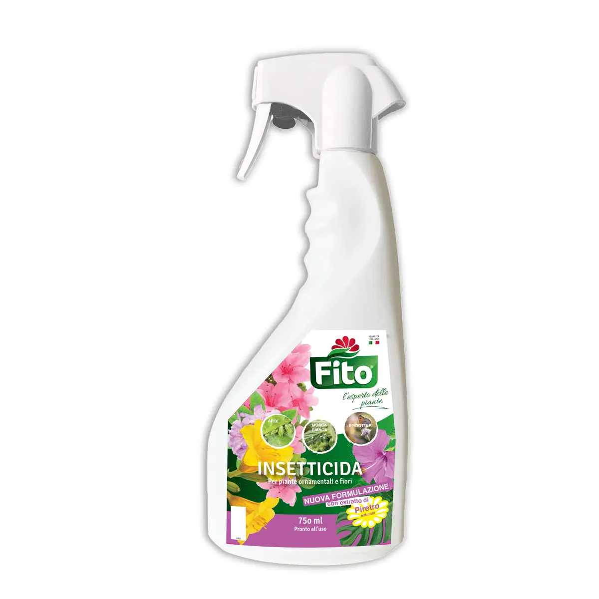 Fiore di Piretro: Un Insetticida Naturale per la Protezione delle Piante - A cosa serve il piretro fiore di piretro - A cosa serve il piretro