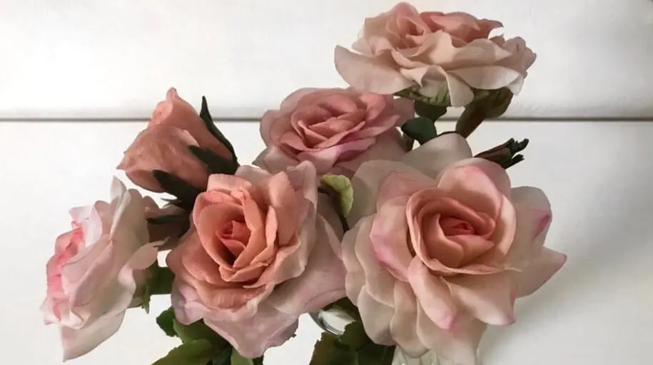 fiori di porcellana fredda - A cosa serve la porcellana fredda