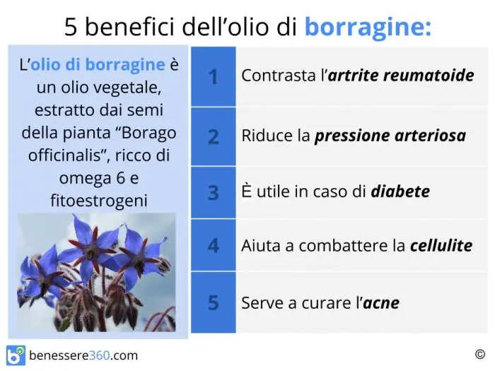 Proprietà dei fiori di borragine - A cosa serve la tisana di borragine fiori di borragine proprietà - A cosa serve la tisana di borragine