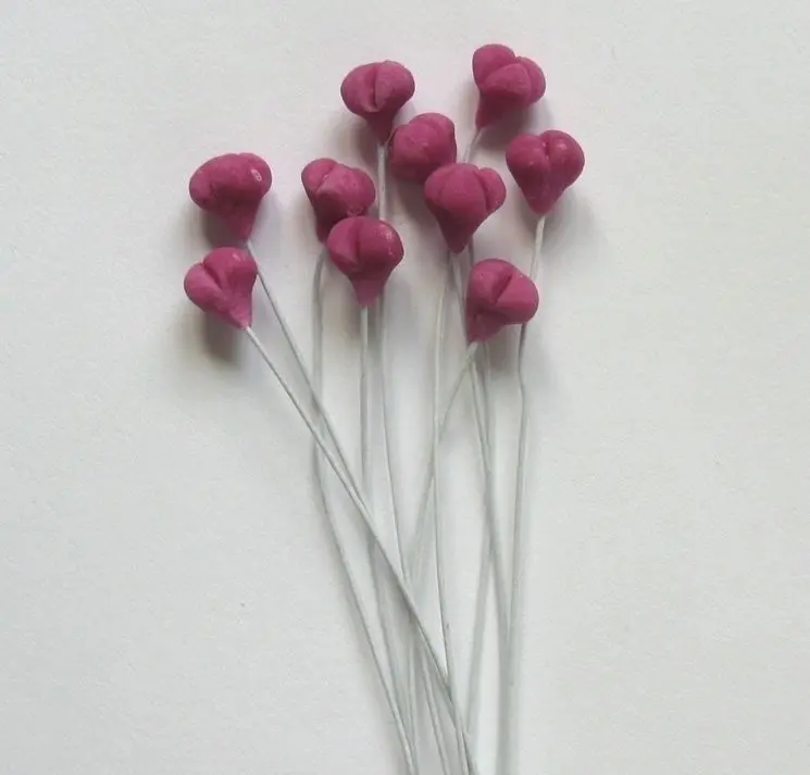 Il ruolo dei pistilli dei fiori nella riproduzione delle piante - A cosa servono i pistilli pistilli dei fiori - A cosa servono i pistilli