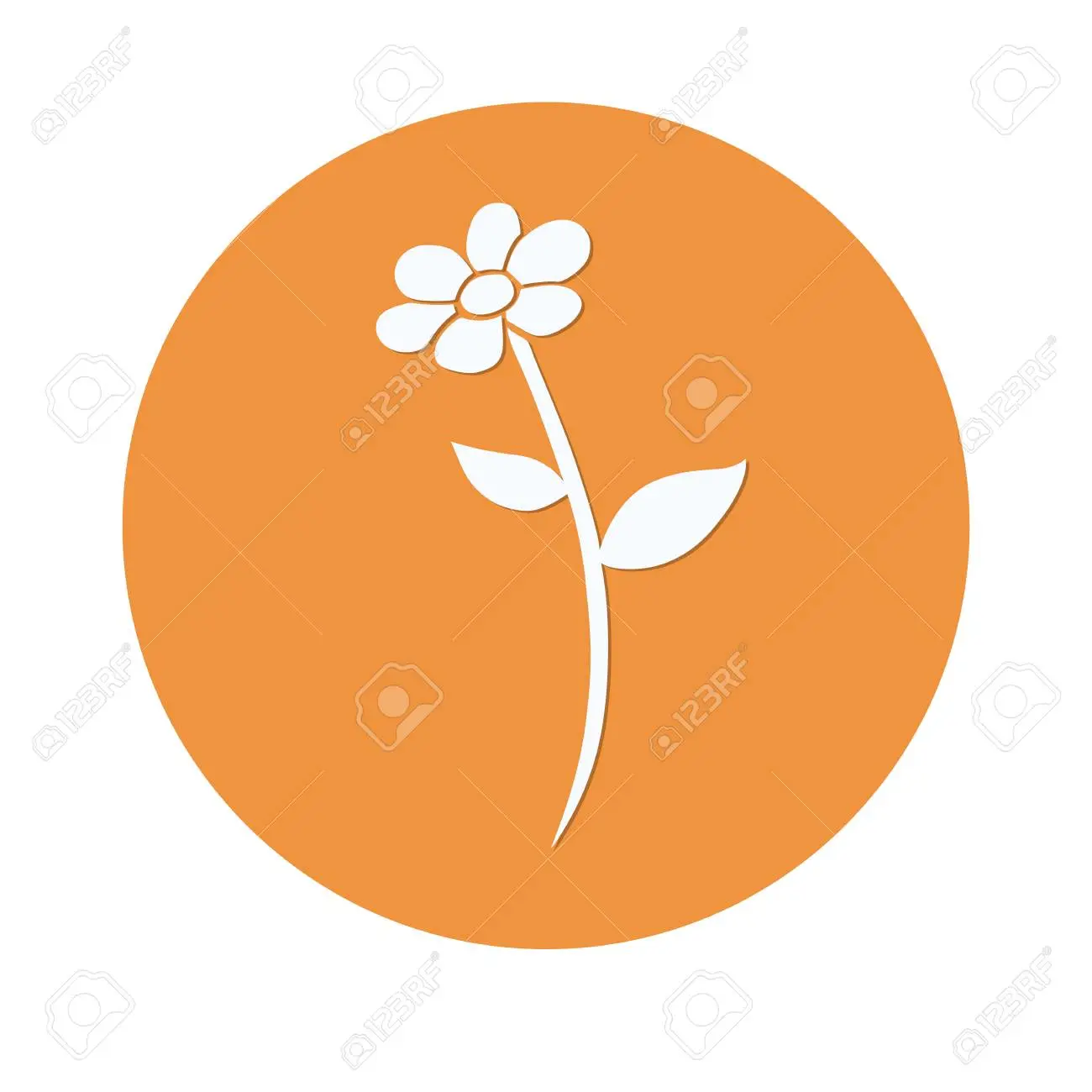 fiori simbolo - A cosa sono associati i fiori