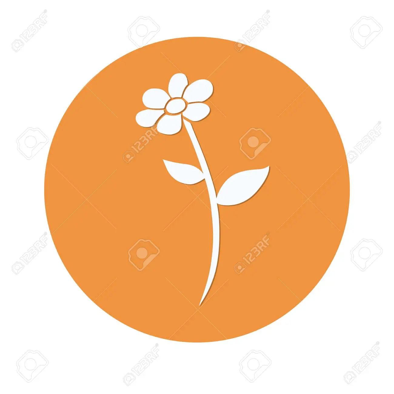 Fiori simbolo: significato e associazioni - A cosa sono associati i fiori fiori simbolo - A cosa sono associati i fiori