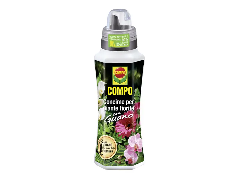 Miglior concime per piante fiorite - Che concime mettere nei gerani miglior concime per piante fiorite - Che concime mettere nei gerani