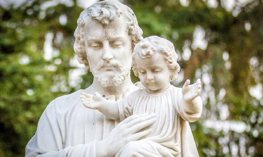Fiori di San Giuseppe Pianta: Simbolo di Devozione e Purezza - Che cos'è il fiore Di Nardo fiori di san giuseppe pianta - Che cos'è il fiore Di Nardo