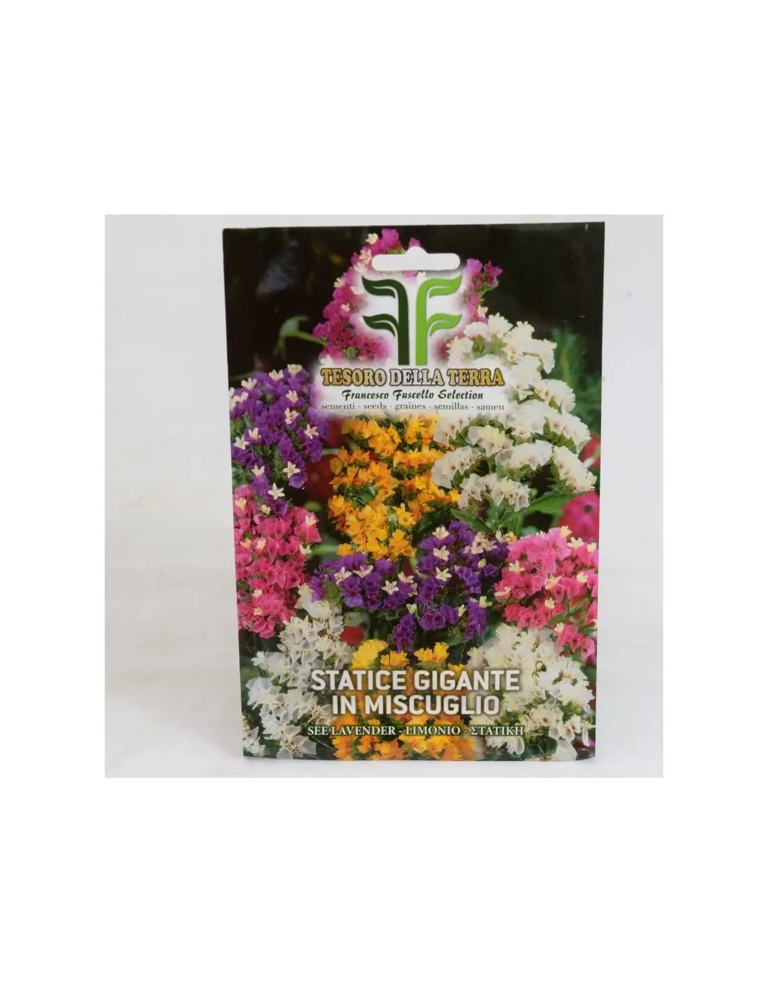 Statice fiore: un tocco di colore senza tempo - Che fiore e lo statice statice fiore - Che fiore e lo statice