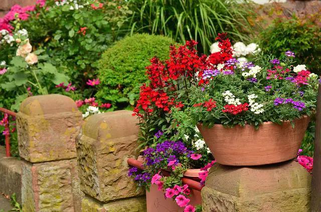 fiori primaverili da giardino - Che fiori piantare ad aprile