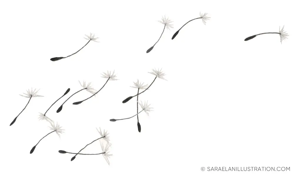 Stilizzato soffione fiore disegno: significato e simboli - Che forma ha il soffione stilizzato soffione fiore disegno - Che forma ha il soffione