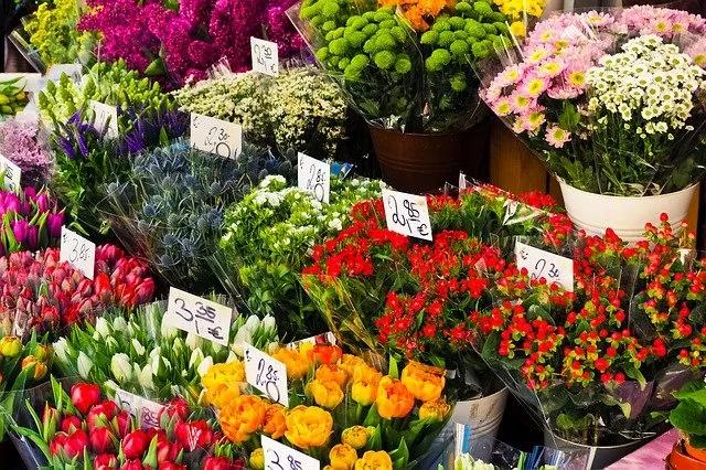 agevolazioni per aprire un negozio di fiori - Che licenza serve per vendere fiori