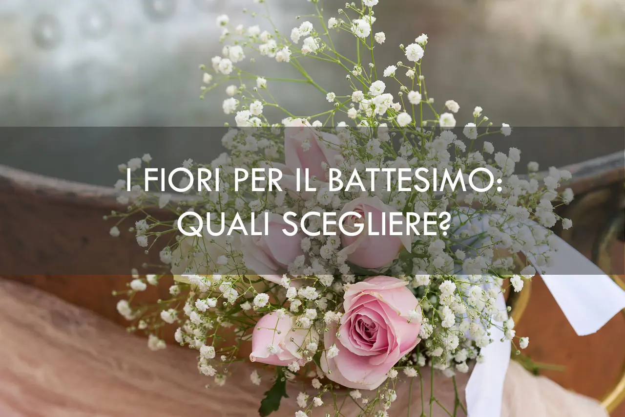 Centrotavola Fiori Battesimo Bimba - Che pianta si regala ad un battesimo centrotavola fiori battesimo bimba - Che pianta si regala ad un battesimo