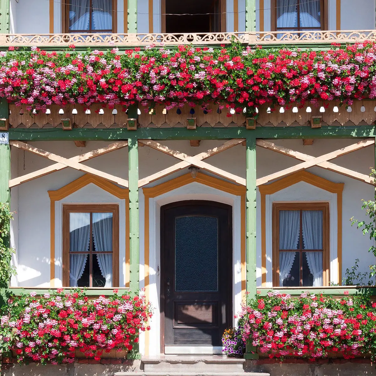 Fiori per balcone al sole: le piante ideali per resistere all'estate - Che piante mettere al sole diretto estivo fiori per balcone al sole - Che piante mettere al sole diretto estivo